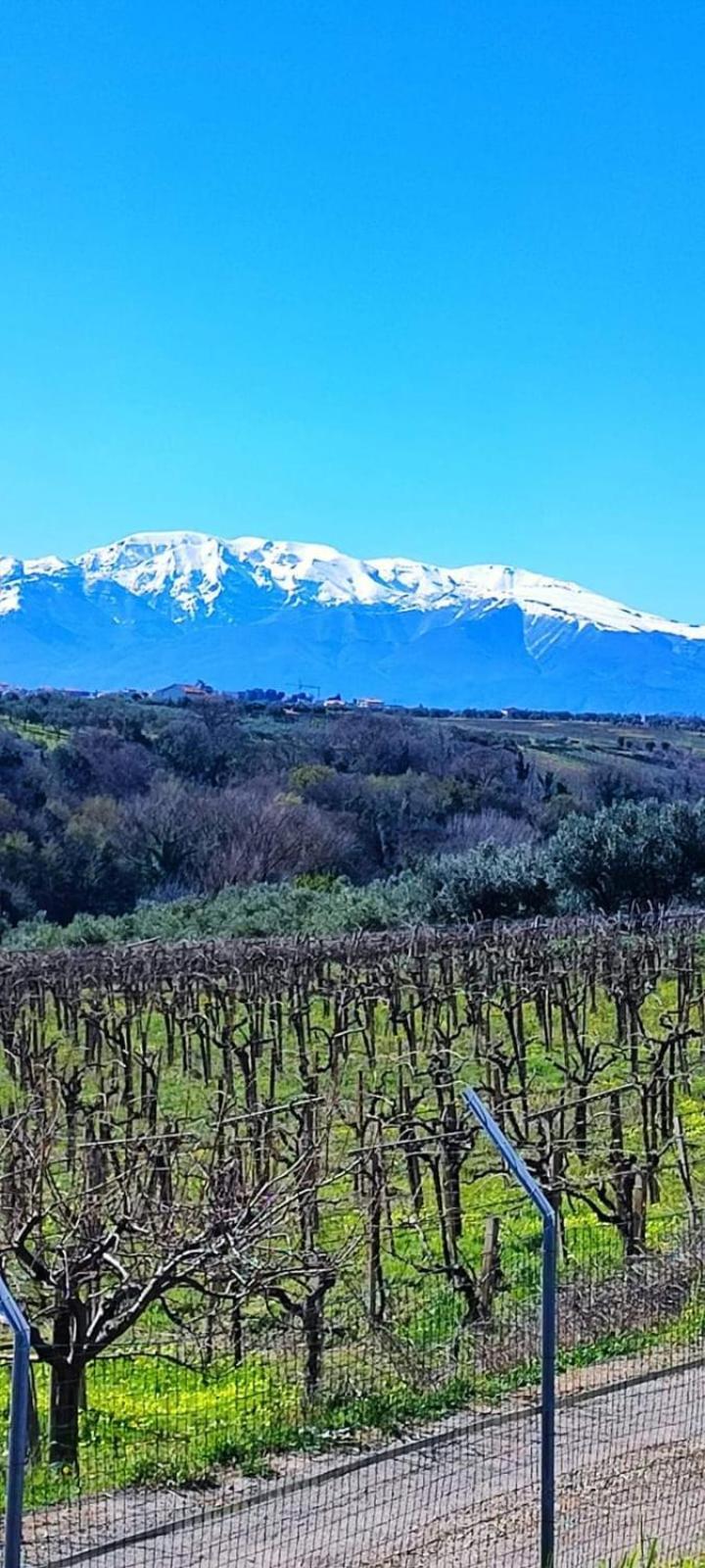 Appartamento La Finestra D'Abruzzo Ortona Esterno foto